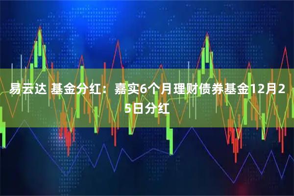 易云达 基金分红:嘉实6个月理财债券基金12月25日分红
