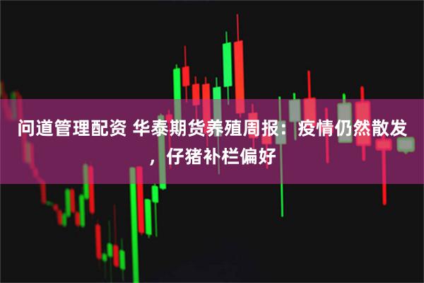 问道管理配资 华泰期货养殖周报：疫情仍然散发，仔猪补栏偏好