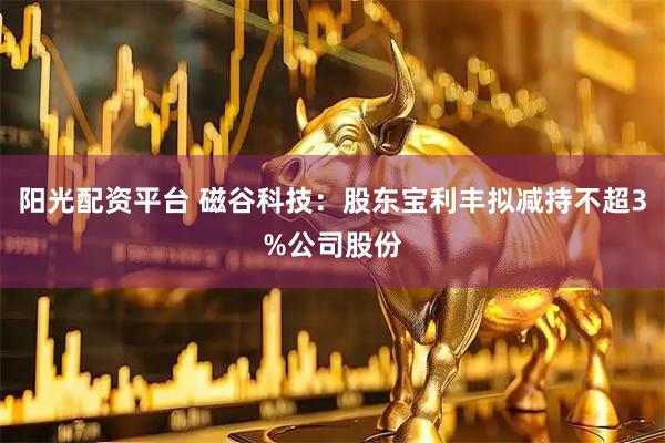 阳光配资平台 磁谷科技：股东宝利丰拟减持不超3%公司股份