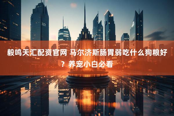 毅鸣天汇配资官网 马尔济斯肠胃弱吃什么狗粮好？养宠小白必看